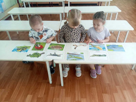 День природы День природы.